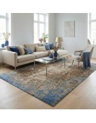 Moderni Contemporanei